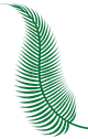 Left palm