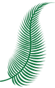 Right palm